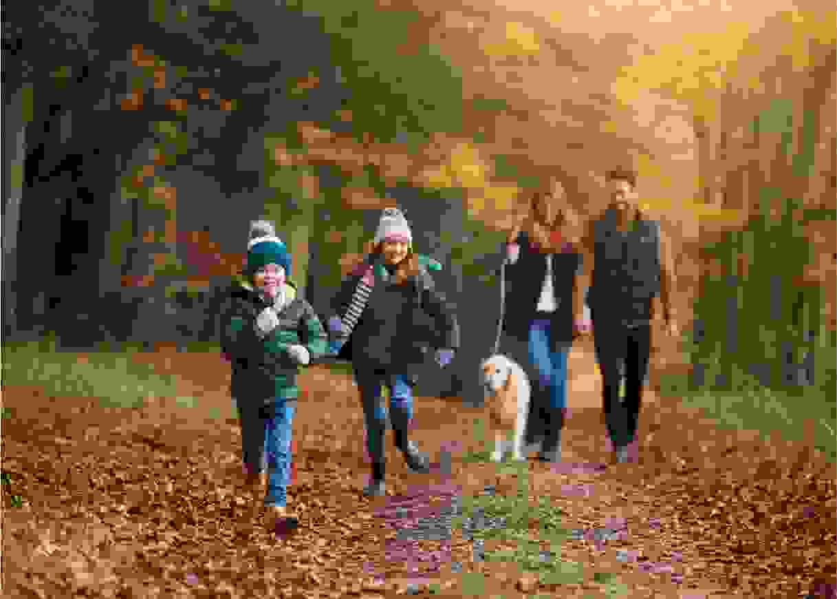 Family walking a dog