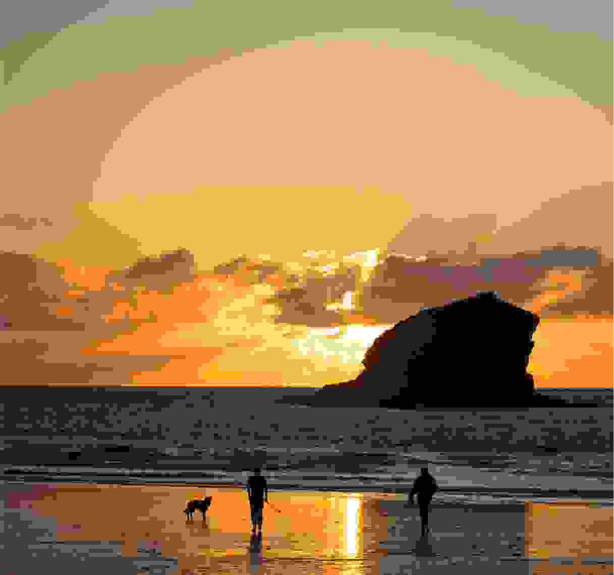 Family on a beach